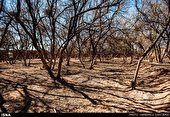 ۵ بلای طبیعی که کرمانشاه را تهدید می‌کند