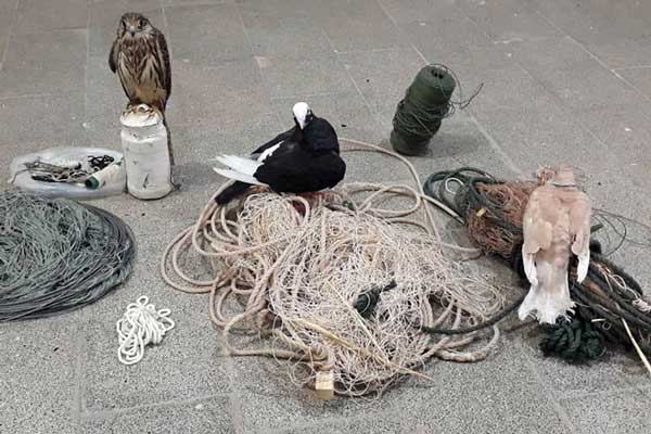 سارقان میلیاردی پرواز سارقان میلیاردی پرواز