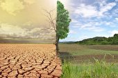 جنگل‌ها قبل و بیابان‌ها  بعد از انسان‌ها متولد شدند