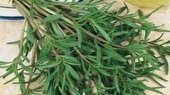 محکومیت قاچاقچی گیاهان دارویی در تعزیرات حکومتی دزفول