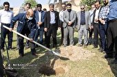آیین درختكاری با حضور مدیرعامل شركت ملی مناطق نفت خیز جنوب برگزار شد