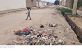 محیط زیست در چنیبه‌ی اهواز (+تصاویر)