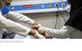 ۵۰ درصد فوتی‌های کرونا در خوزستان 