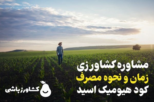 در مورد زمان و نحوه مصرف هیومیک اسید بیشتر بدانید در مورد زمان و نحوه مصرف هیومیک اسید بیشتر بدانید