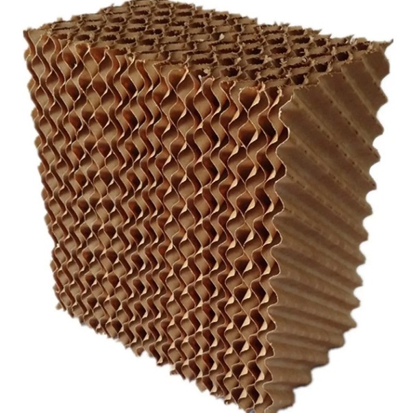 پدسلولزی چیست و چه کاربردهایی دارد؟