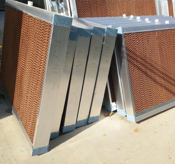 پدسلولزی چیست و چه کاربردهایی دارد؟