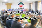 بررسی لایحه در خصوص اصلاح و متمم بودجه پیشنهادی مقطع آبان ماه ١٤٠٢