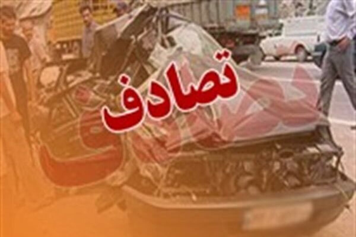 پلیس هرمزگان دو متهمی که در تصادف عمدی با یک عابر پیاده منجر به قتل وی شده بودند را شناسایی و دستگیر کرد.