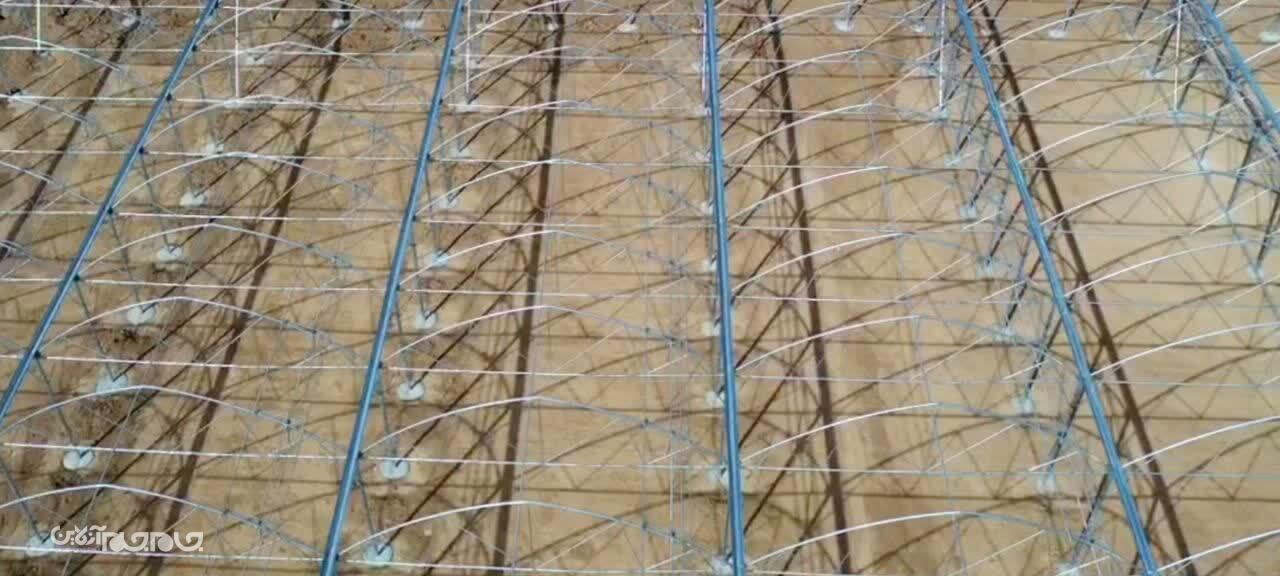 تحولي عظيم در احداث مجتمع هاي گلخانه اي ودامپروري در استان تحولي عظيم در احداث مجتمع هاي گلخانه اي ودامپروري در استان