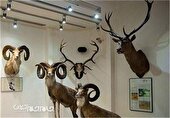 بیدار شدن پروژه موزه حیات وحش خراسان شمالی از خواب ۱۰ ساله