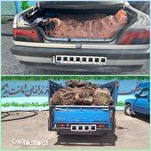 نیسان حامل چوب تاغ قاچاق در جاجرم متوقف شد