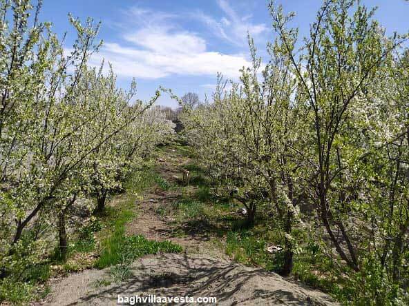 اطراف تهران کجا زمین بخریم؟