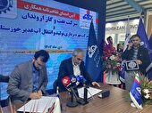 شركت نفت و گاز اروندان ۸ قرارداد و تفاهم نامه همكاری با شركت های داخلی و دانشگاه ها امضا كرد