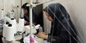 ایجاد اشتغال برای جوانان شهرستان دلگان