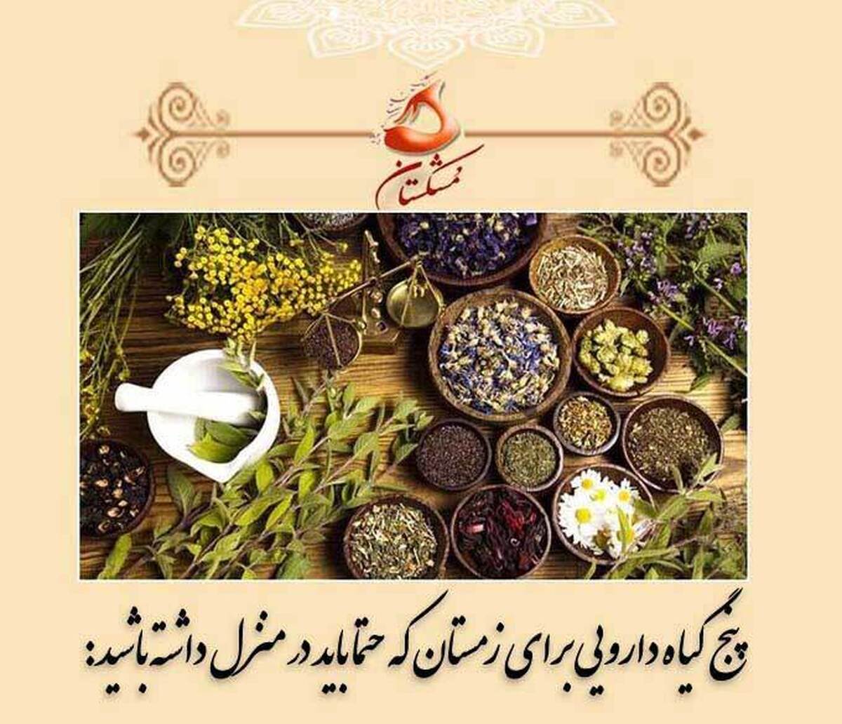 چکیده : دمنوش های زمستانی طب سنتی و گیاهان ضد ویروس برای عفونت و سرفه