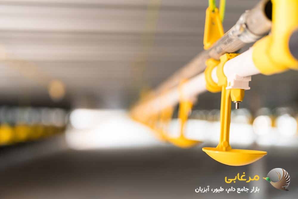 جلوگیری از شکست مرغداری با 6 تجهیزات مهم جلوگیری از شکست مرغداری با 6 تجهیزات مهم
