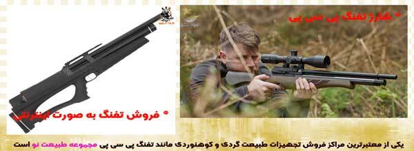 تفنگ پی سی پی و ویژگی های آن