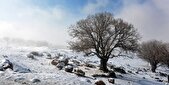 بارش‌های نرمال زمستانی در انتظار مازندران