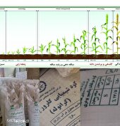  «توصیه های تغذیه ای برای باز توانی گیاه وکاهش اثرات سرمازدگی و مقابله با شرایط بیماری زا»