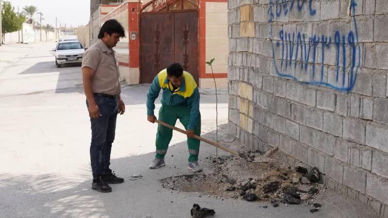 ترویج فرهنگ درختکاری