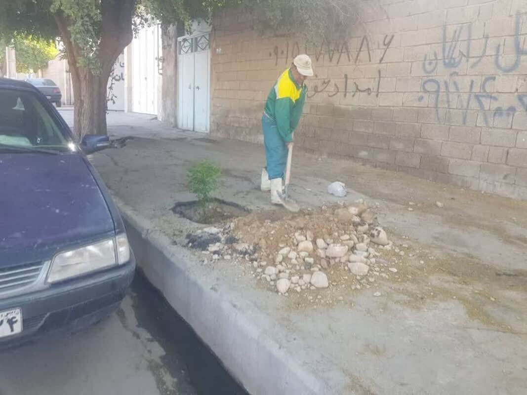 ترویج فرهنگ درختکاری