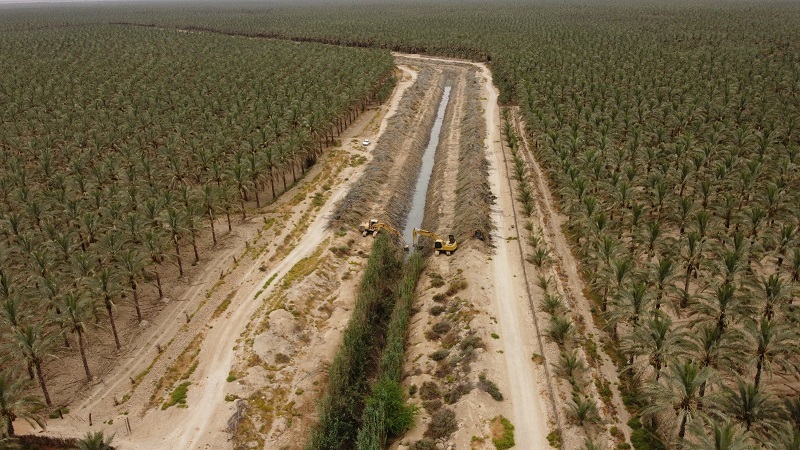 نجات تالاب حله