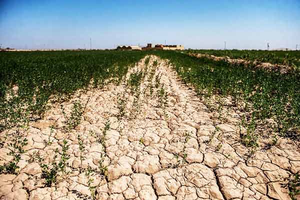 تشدید بحران آب در تهران و مشهد | کاهش 21درصدی میانگین بارشها | شمال غرق در بیآبی تشدید بحران آب در تهران و مشهد | کاهش 21درصدی میانگین بارشها | شمال غرق در بیآبی