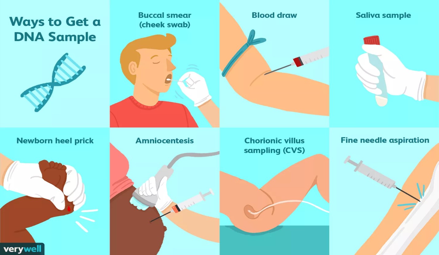 آزمایش ژنتیک چیست؟