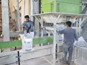 ۱۰ میلیون تُن گندم برای نان مصرف می‌شود