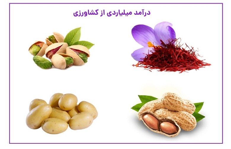 چی بکاریم سود کنیم؟ درآمد میلیاردی از کشاورزی چگونه امکان پذیر است؟ چی بکاریم سود کنیم؟ درآمد میلیاردی از کشاورزی چگونه امکان پذیر است؟