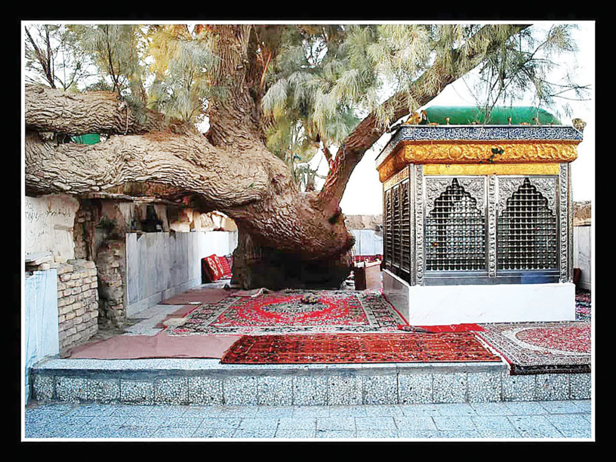 رضا معتمدی، متولد ۱۳۵۴ نیشابور است که به‌عنوان دانش آموخته انجمن سینمای جوانان ایران، مدرک عالی خود را در زمینه سینما و عکاسی دریافت کرده است. او همچنین عضو مؤسسه توسعه هنرهای تجسمی تهران و دو سه سالی است که در زمینه نقد آثار هنری در حوزه عکس در نشریات خیام نامه و آفتاب صبح نیشابور به صورت هفتگی قلم می‌زند.