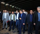 وزیر اقتصاد از انبارهای بندر امام خمینی بازدید کرد