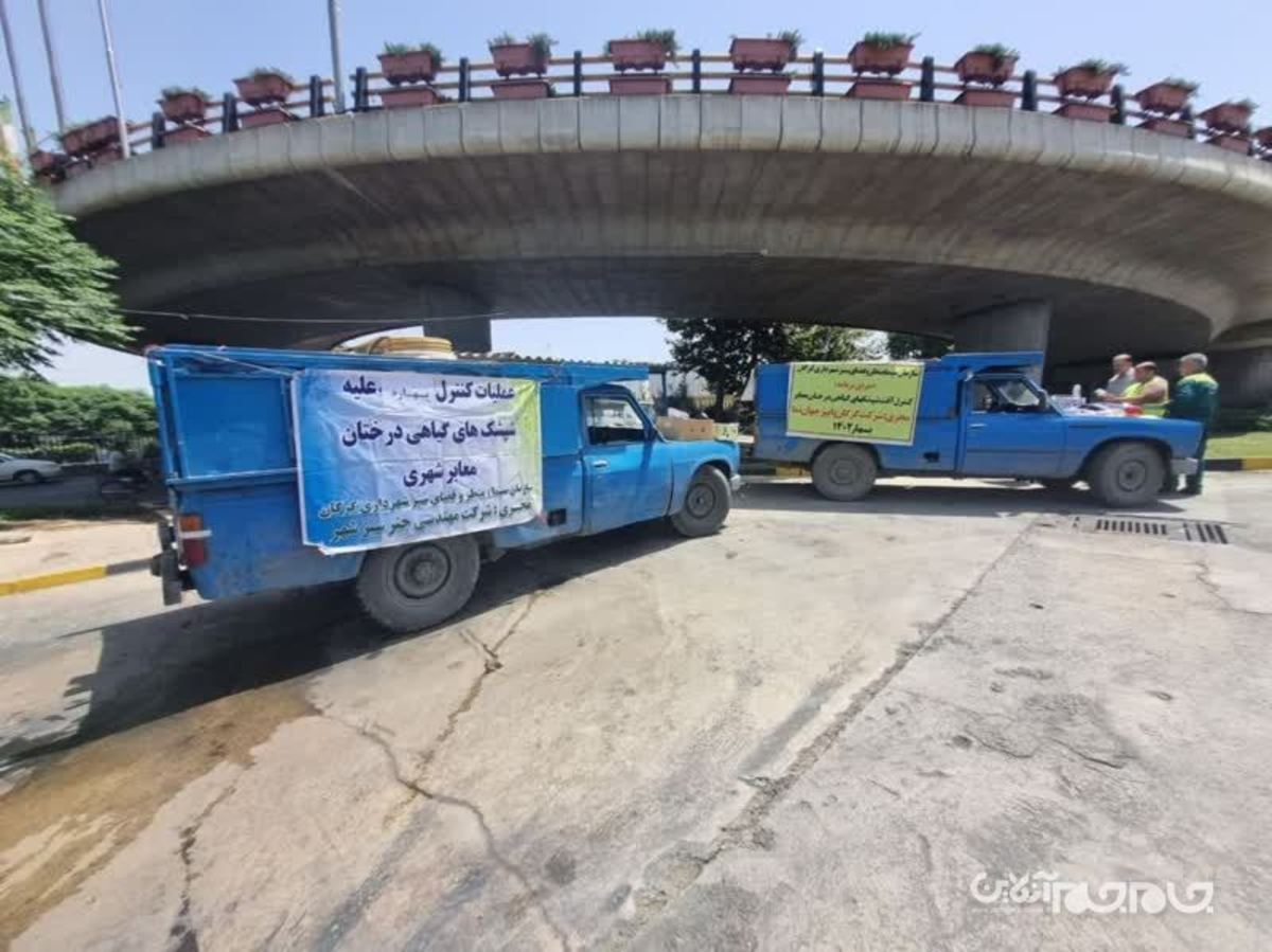 رئیس سازمان سیما، منظر و فضای سبز شهرداری گرگان از آغاز سم‌ پاشی شبانه درختان مرکبات سطح شهر با استفاده از سموم سازگار با محیط زیست در مناطق سه گانه خبر داد.