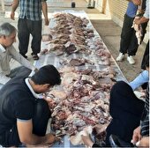 اهدای ۵۰ راس گوسفند قربانی عیدی بانوی خیر هلیلانی به مددجویان