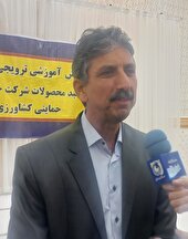 همایش آموزشی ترویجی  شرکت خدمات حمایتی کشاورزی در ایلام  برگزار شد