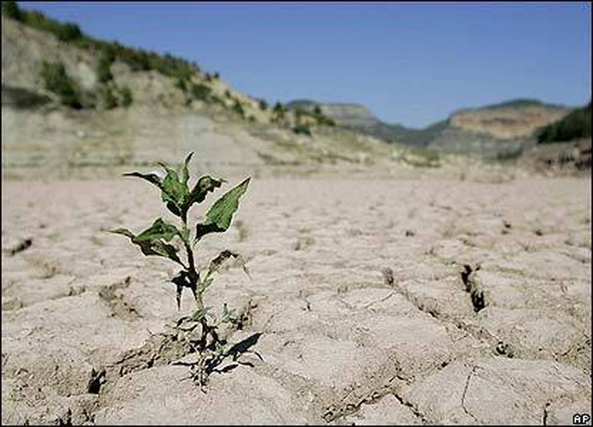 مبادا گلستان بیابان شود