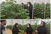 بازدید کارشناسان مدیریت حفظ نباتات از گلخانه های دارای کدQR