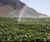 آبیاری اراضی دیم در فیروزکوه با انتقال یا پمپاژ آب غیرمجاز است.