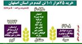 خرید 75هزار 101 تن گندم در استان اصفهان