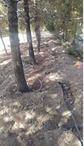 اجرای شبکه آبیاری قطره‌ای تحت فشار در منطقه ۵ با بیش از ۴۳ میلیارد اعتبار