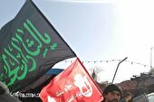گزارش تصویری | پیاده روی نجف به کربلا