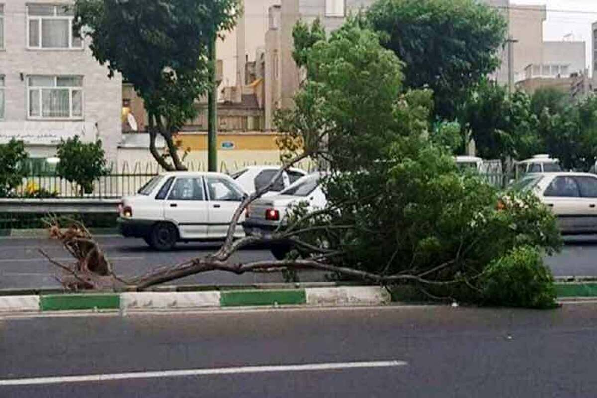 سرعت باد به ۷۰ کیلومتر در ساعت می‌رسد | تهران در آماده باش