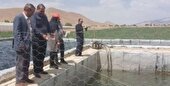 بازدید از طرح توسعه پرورش ماهی قزل آلا شهرستان فریدن
