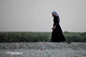 گزارش تصویری | پیاده روی اربعین