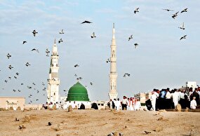 بارش نور و سرور