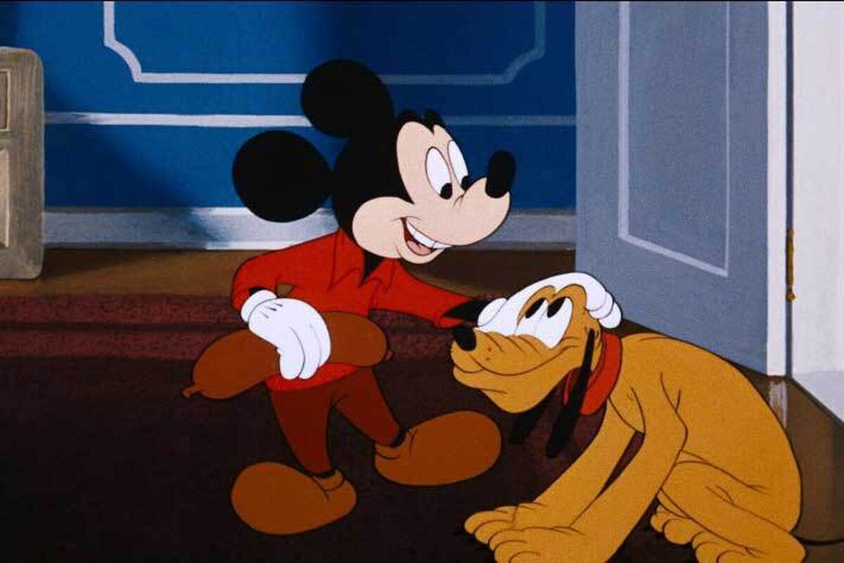 پلوتو، سگی نارنجی رنگ، با گوش‌هایی سیاه که سگ خانگی میکی موس بود. از آنجایی که پلوتو صحبت نمی‌کرد، ماجرا‌های او بر پایه حرکات فیزیکی بامزه و طنز بود و این وِیژگی او را به یک چهره پیشگام در شخصیت‌های بی کلام کارتونی تبدیل کرد.