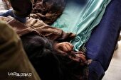 گزارش تصویری | یک هفته جنایت در غزه