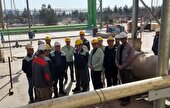 بازدید مدیرعامل شرکت از پروژه های در دست اجرا