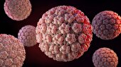 همه چیز درباره HPV