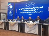 جذب نقدینگی بخش خصوصی راه گشای مشکلات اقتصادی کشور
